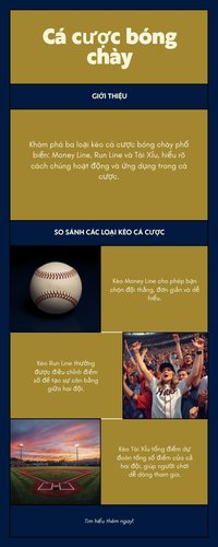So sánh các loại kèo Money Line, Run Line, Tài Xỉu tổng điểm và First 5 Innings trong cá cược bóng chày MLB