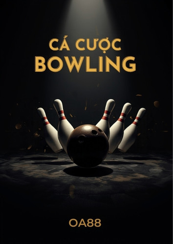 Cá cược Bowling – cách đọc kèo Match Winner, Tổng Gậy và quản lý vốn hiệu quả