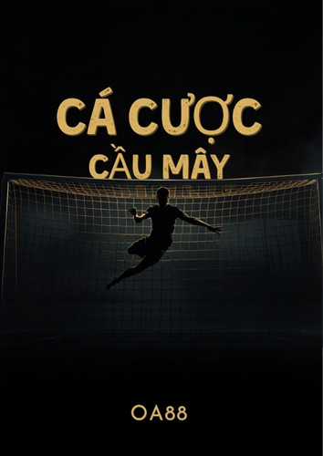 Cá cược Cầu Mây – luật chơi, các loại kèo và chiến thuật đặt cược hiệu quả