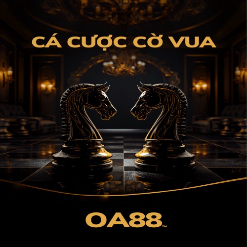 Cá cược cờ vua – cách đọc kèo người thắng, kèo hòa và quản lý vốn hiệu quả
