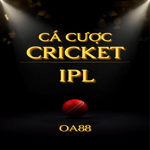 Cá cược cricket IPL – cách đọc kèo Match Winner, Top Batsman và quản lý vốn hiệu quả