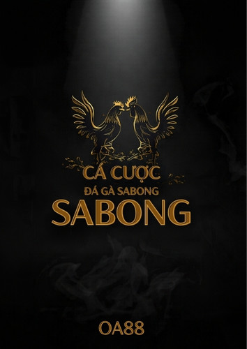 Cá cược đá gà (Sabong) – cách đọc kèo Meron/Wala, phân loại gà và quản lý vốn hiệu quả