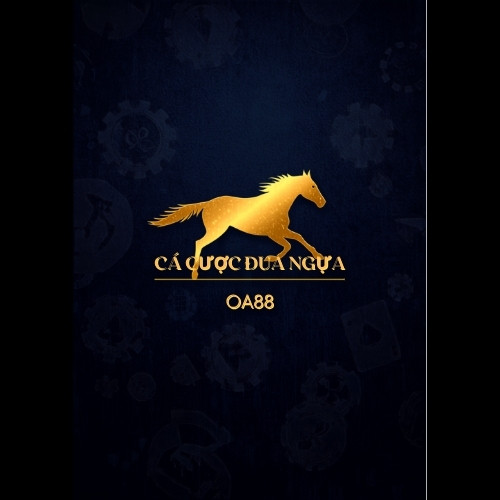 Cá cược đua ngựa – cách đọc kèo Win, Place, Show và quản lý vốn hiệu quả